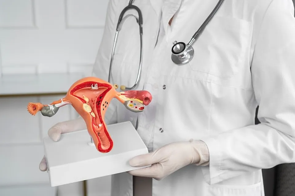 Rediscover Comfort and Confidence with Vaginoplasty
