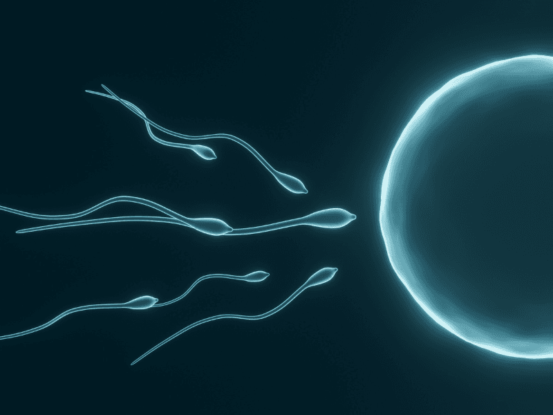 Asthenospermia (Low Sperm Motility)