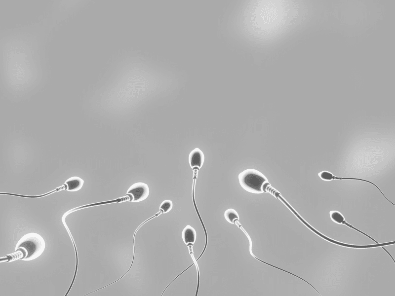 Azoospermia (Zero Sperm Count)