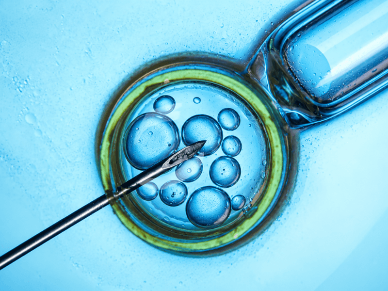 Genetic screening consultation