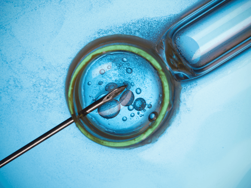 IVF failure consultation