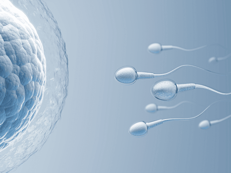 Oligospermia (Low Sperm Count)