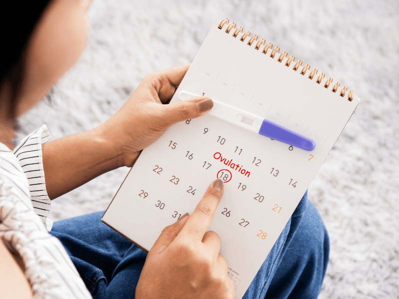 Ovulation induction consultation