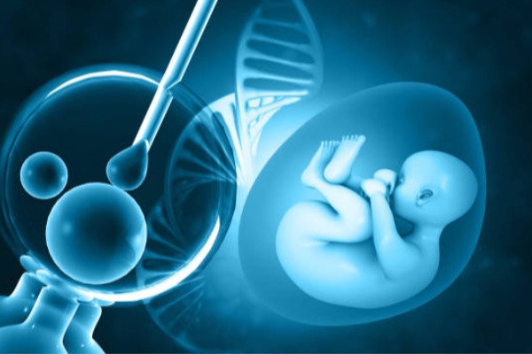 stage-of-ivf