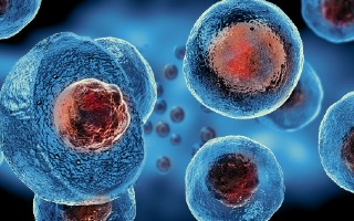 Stem Cell In IVF